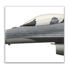 Imagem do LOCKHEED MARTIN F-16C BLOCK 50 - FACH 853