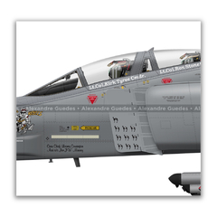 MCDONNELL DOUGLAS RF-4C PHANTOM II, USAF, S/N 65-0833, 117th TRW, 106th TRS. na internet