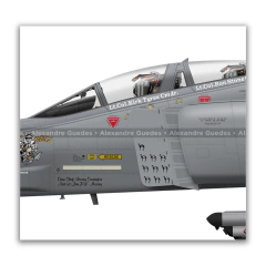 MCDONNELL DOUGLAS RF-4C PHANTOM II, USAF, S/N 65-0833, 117th TRW, 106th TRS. en internet