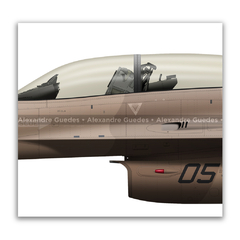 GENERAL DYNAMICS F-16B BLOCK 15, USN, BuNo 920459, NSAWC en internet