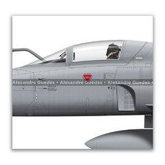 Northrop F-5E Tiger III, Fuerza Aérea de Chile, 813 - Art In Profiles - Os melhores Posters de Aviação