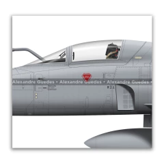 Northrop F-5E Tiger III, Fuerza Aérea de Chile, 813 - Art In Profiles - Os melhores Posters de Aviação