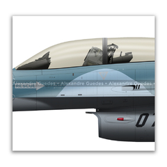 General Dynamics F-16B BLOCK 15, USN, BuNo 920461, NSAWC en internet