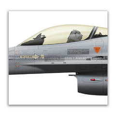 GENERAL DYNAMICS F-16A BLOCK 15 - USAF 81-0713 en internet