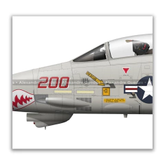 GRUMMAN F-14A TOMCAT, U.S. NAVY, BuNo 161621, NL 00, VF-111 SUN DOWNERS. on internet
