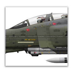 MCDONNELL DOUGLAS F-4G PHANTOM II, USAF, S/N 69-7561, 561st TFS, 37th TFW. en internet