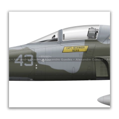 NORTHROP F-5E TIGER II, U.S. NAVY, BuNo 159881, FWS "TOPGUN". en internet