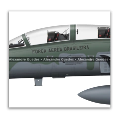 NORTHROP F-5FM TIGER II, FAB 4806, 1º/14º GAV on internet