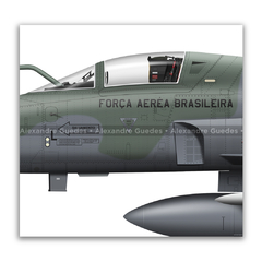 Northrop F-5EM Tiger II, FAB 4876, 1º GAVCA na internet