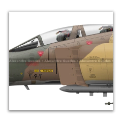 MCDONNELL DOUGLAS F-4D PHANTOM II, IIAF, 14870, 7th TFB. na internet
