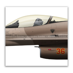 GENERAL DYNAMICS F-16C BLOCK 25 - USAF 84-1236 en internet