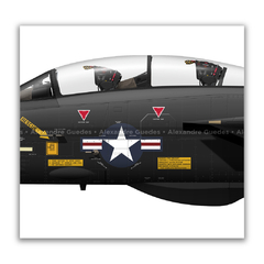 GRUMMAN F-14A TOMCAT, U.S. NAVY, BuNo 159853, VX-4 THE EVALUATORS. en internet