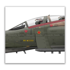 MCDONNELL DOUGLAS F-4E PHANTOM II, USAF, S/N 67-0232, 307th TFS. en internet