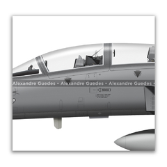 Northrop F-5F Tiger II, Fuerza Aérea Hondureña, FAH 4002 - Art In Profiles - Os melhores Posters de Aviação
