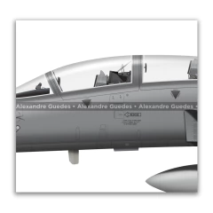 Northrop F-5F Tiger II, Fuerza Aérea Hondureña, FAH 4002 - Art In Profiles - Os melhores Posters de Aviação