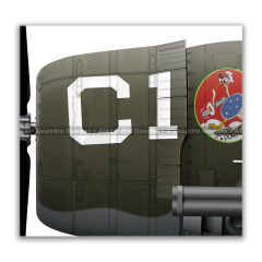 REPUBLIC P-47D-28-RE THUNDERBOLT, S/N 44-19666, B6, 1º GAVCA - (cópia) en internet