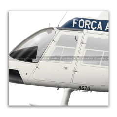 Bell 206A JetRanger / VH-4, FAB 8570, GTE - Grupo de Transporte Especial en internet