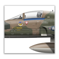 NORTHROP F-5E TIGER II, USAF, S/N 72-1405, 425th Sqd. 58th TFTW. en internet