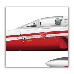NORTHROP F-5N TIGER II, PATROUILLE SUISSE, J-3086. na internet