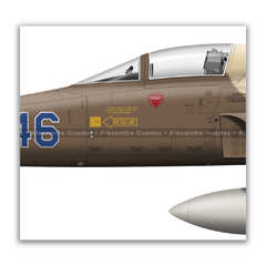 NORTHROP F-5E TIGER II, USAF, S/N 73-0846, 65th Aggressor Squadron, 57th ATG. na internet