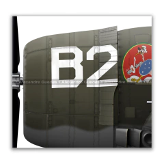 REPUBLIC P-47D-28-RE THUNDERBOLT, S/N 42-26456, Nº 1, 1º GAVCA - (cópia) on internet