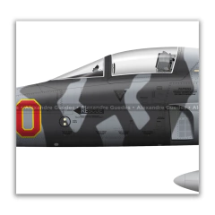 NORTHROP F-5E TIGER II, U.S. NAVY, BuNo 721387, AF 00, VFC-13. en internet