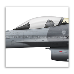 GENERAL DYNAMICS F-16C BLOCK 30 - USAF 86-0321 en internet