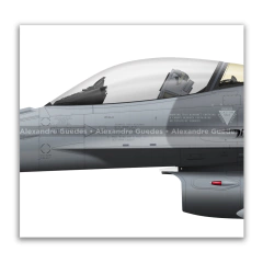 GENERAL DYNAMICS F-16C BLOCK 30 - USAF 86-0321 na internet