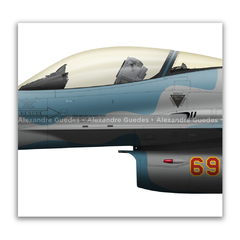GENERAL DYNAMICS F-16C BLOCK 25 - USAF 86-0269 en internet