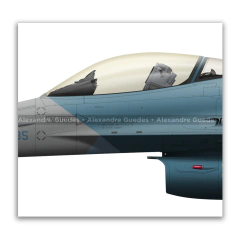 GENERAL DYNAMICS F-16C BLOCK 30 - USAF 86-0335 on internet