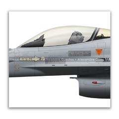 FOKKER F-16A BLOCK 20 MLU - FACH 747 en internet
