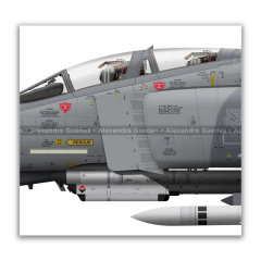 MCDONNELL DOUGLAS F-4G PHANTOM II, USAF, S/N 69-0249, 3rd TFS, 90th TFS. en internet