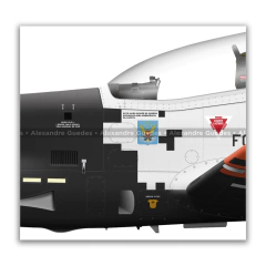 EMBRAER T-27 TUCANO, FAB 1394, AFA, 40 ANOS DO T-27 en internet