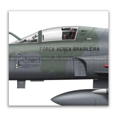 Northrop F-5EM Tiger II, FAB 4866, 1º GAVCA en internet