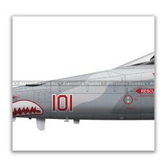 NORTHROP F-5N TIGER II, U.S. NAVY, BuNo 761548, AF 101, VFC-111. na internet