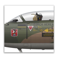 AERMACCHI/EMBRAER, AT-26 XAVANTE, FAB 4556, POKER on internet