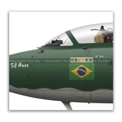 AERMACCHI/EMBRAER, AT-26 XAVANTE, FAB 4601, PACAU, SORBONE en internet