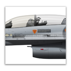 FOKKER F-16B BLOCK 20 MLU - FACH 732 na internet