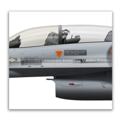 FOKKER F-16B BLOCK 20 MLU - FACH 732 en internet
