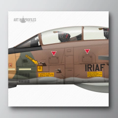 Poster F-14A Tomcat | O Lendário "Gato Persa" da Força Aérea Iraniana - Art In Profiles - Posters e Livros sobre Aviação