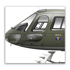 Helibrás HB-350B Esquilo / H-50, FAB 8774, 1º/11º GAV - Esquadrão Gavião na internet