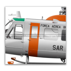 Bell 205 D/H Iroquois SH-1D, FAB 8532, 2º/10º GAV - Esquadrão Pelicano en internet