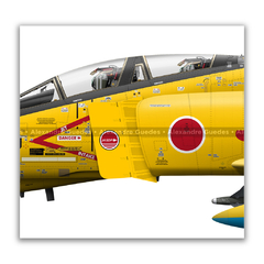 MCDONNELL DOUGLAS F-4EJ KAI PHANTOM II, JASDF, S/N 77-8399, 301st SQUADRON, 50th ADFP, 2004. en internet