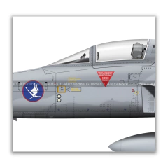 NORTHROP F-5N TIGER II, SWISS AIR FORCE, J-3044. en internet