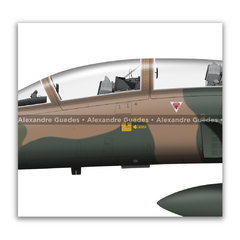 Northrop F-5F Tiger II, Fuerza Aérea Mexicana, 4501, Escuadrón Aéreo 401 - Art In Profiles - Os melhores Posters de Aviação