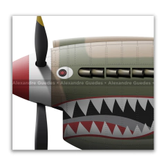 CURTISS P-40E-1 KITTYHAWK MK 1A, FAB, 01 en internet