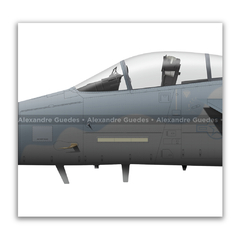 McDonnell Douglas, F-15C Eagle, S/N 83-0024, USAF en internet