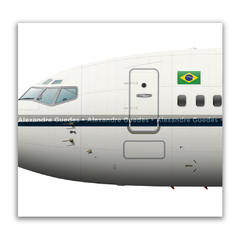 Boeing 737 2N3 Advanced - VC-96, FAB 2115, GTE - Art In Profiles - Os melhores Posters de Aviação