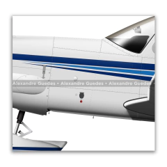 EMBRAER EMB-720 MINUANO, PT-RXU on internet