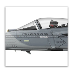SAAB F-39E Gripen, FAB 4105, 1º GDA en internet